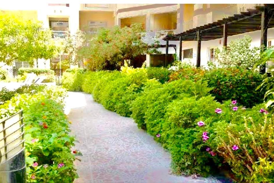 Sunny Studio With 3 Swimming Pools Florenza Hurghada Ngoại thất bức ảnh